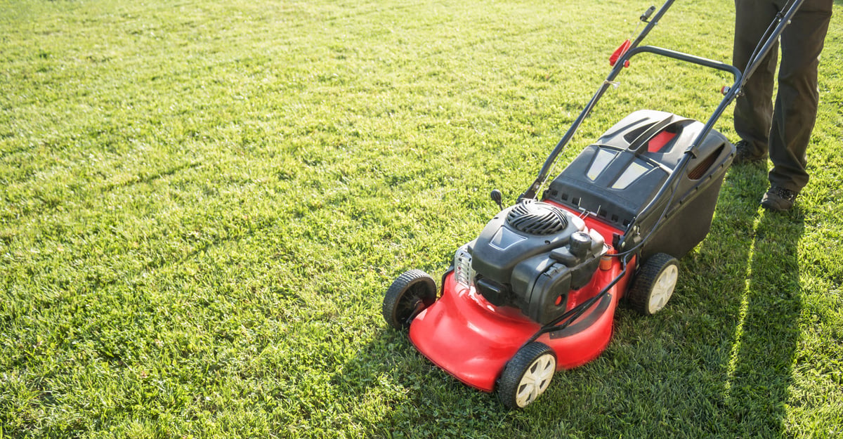 Lawn mower cutting green grass in backyard, garden service.