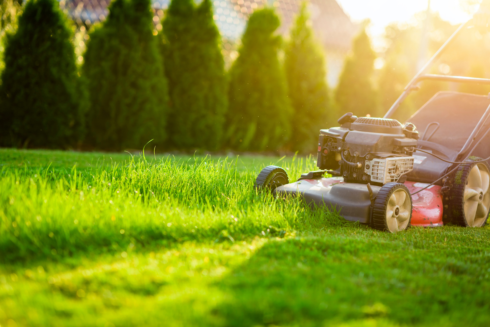 Lawn mower on green grass